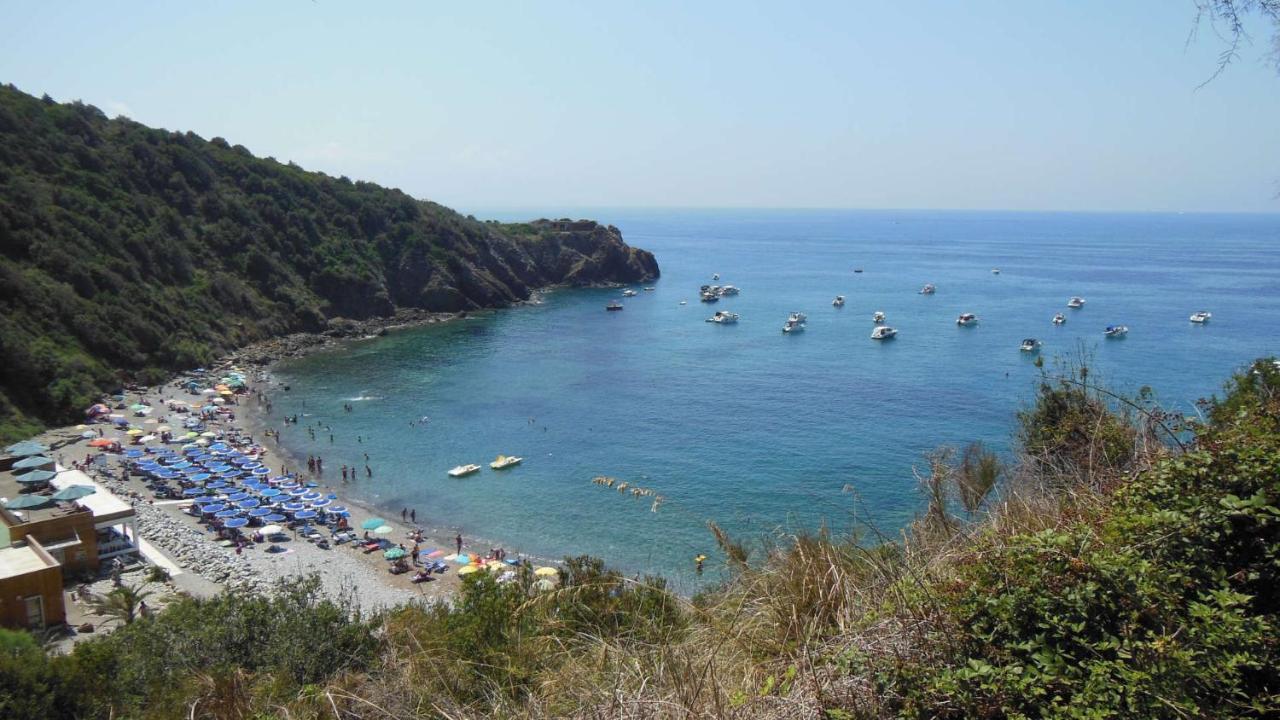Destinazione Paradiso Daire Piombino Dış mekan fotoğraf